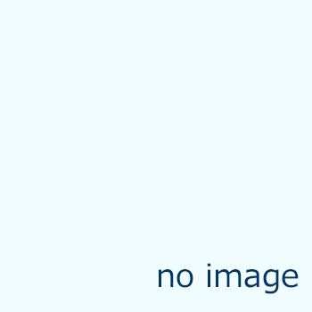 画像なし