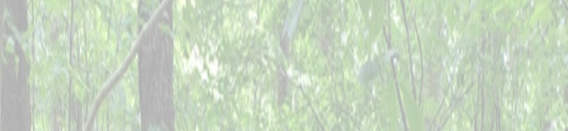 20260703
